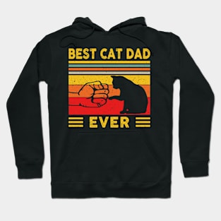 Best cat dad ever Hoodie